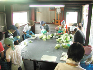 野菜のカット作業に従事する利用者の皆さん