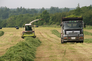 牧草の収穫