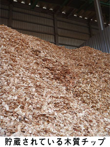 木質チップ